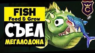 Бибос Съел Мегалодона ∎ Feed and Grow Fish прохождение #5