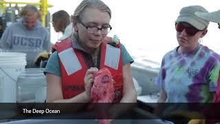 Scripps Oceanography @ COP23