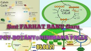 BOTANY-XII-CALVIN CYCLE-Smt FARHAT BANU Garu-05.08.21#calvincycle#carbonfixation#balajichennuri