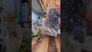 Cooking time mussels