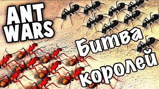 Фарм ускорений лечения в The Ants. Битва королей