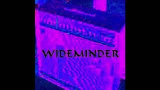 Wideminder -  PTLM Part 2