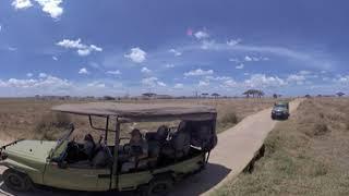 VR Elephant Wildlife Safari trip - Photos of Africa @livestreamnature @PhotosofAfrica @360ImageFilm.