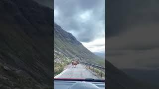 Scotland Travel tiktok haysfordays