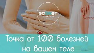 ТОЧКА ДОЛГОЛЕТИЯ: точка от 100 БОЛЕЗНЕЙ на вашем теле | econet. ru