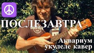 Антон Мизонов - Послезавтра (Аквариум укулеле кавер)