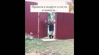 Пришла к подруге в гости, и чихнула....