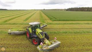 CLAAS Gespann beim Roggen Mähen - Ganzpflanzensilage GPS Futter Roggen mähen m. Claas Mähkombination