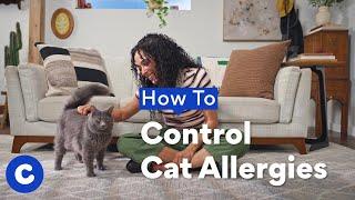 How to Control Your Cat Allergy Symptoms