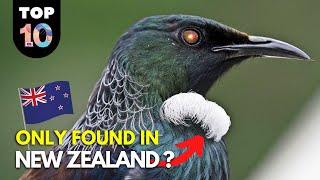 10 Animals ONLY Found in New Zealand 