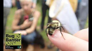 Episode 31: Buzzing Together: The Bumble Bee Atlas and the Power of Community Science