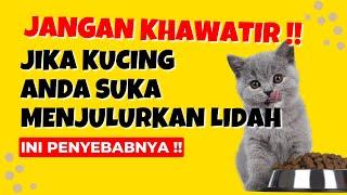 Wajib Tau !! Inilah 10 Alasan Mengapa Kucing Menjulurkan Lidah Seperti Anjing