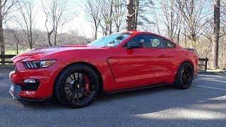 Shelby GT350 Daily Driven 1 Year Review | Auto Fanatic