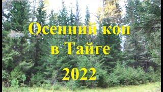 Осенний коп в Тайге 2022