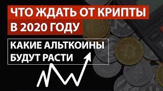 ЧТО ЖДАТЬ ОТ КРИПТОВАЛЮТ в 2020 году / Какие АЛЬТКОИНЫ БУДУТ РАСТИ