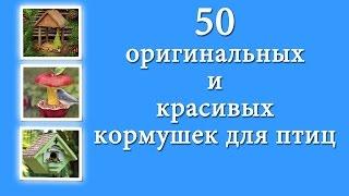 50 красивых, простых и оригинальных кормушек для птиц