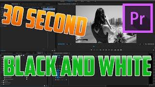 How to make Clips / Videos Black and White in Premiere Pro CC