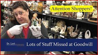 Attention Shoppers! More Underpriced Treasure Found at Goodwill Thrift Store - Shop with Dr. Lori