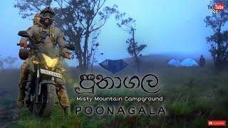 Poonagala | Misty Mountain Camping | පූනාගල කදු මුදුනේ කදවුරු බැදීම | මීදුම පිරුණු තැන්නක #poonagala