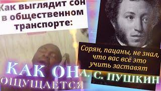 МЕМOFF / СЛОВО НАЧИНАЮЩИЕСЯ НА «П» ЗАКАНЧИВАЮЩИЕСЯ НА «РНО»? / НАСТОЯЩЕЕ ИМЯ ПЧЕЛЁНКА? (СТЫДOFF)