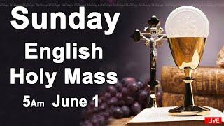 Catholic Mass Today I Daily Holy Mass I Sunday June 1 2025 I English Holy Mass I 5.00 AM