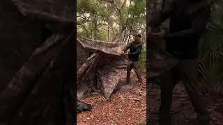 World’s fastest blind take down! ️️@TideWe     #hunting #outdoors #camo
