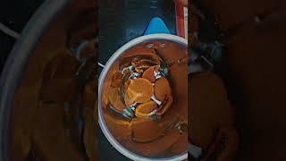 Easy home made Dark Fantasy ThickShake #darkfantasybiscuit #kitchen#cooking #summerdrink #chocolate