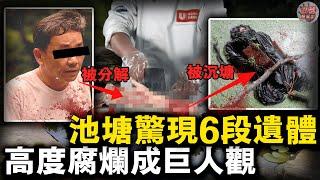 重慶池塘驚現6塊人體組織，高度腐爛全身腫脹變成了蛆蟲的家，一個月後兇手被捕，作案動機令人震驚！【迷霧調查組】中國案件 案件推理 案件分析