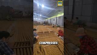 How do Vietnamese people turn coconut fiber into mats? #coconut #shorts