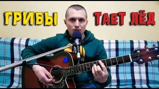 Грибы - Тает лед (кавер - Сергей YAROSHenko)