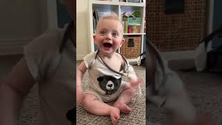 oday we celebrated two years with Wolfie. I love watching this sweet boy grow.  11/3/24