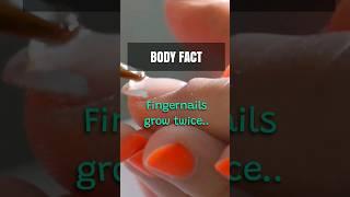 The nail bed grow 2x as much in fingers than toes Do you know this? #shorts #humanbody #healthhulk