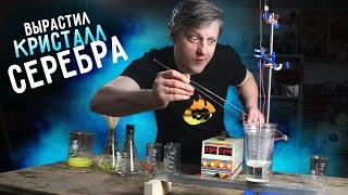  КРИСТАЛЛЫ из чистого СЕРЕБРА своими руками