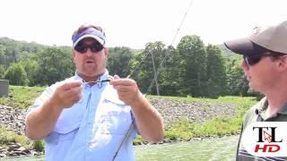 Bass fishing tip - Carolina rig