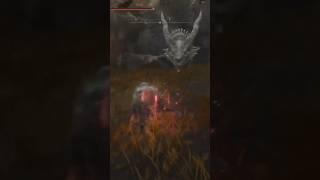 Ancient dragons are light work after bayle #eldenring #shortvideos #gaming #viral #shorts #short