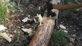 Ax Skopa from the workshop of URM ANIKA against a pine log at 16 cm