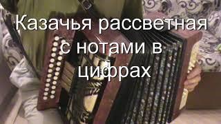 Вороной конь, казачья рассветная с нотами в цифрах