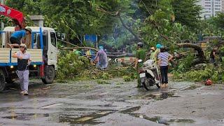 đã dọn sạch đường phố sau cơn bão lớn.