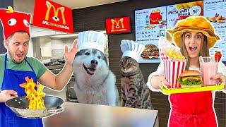 APRIAMO un MC DONALD’S per CANI in CASA! 