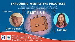 Exploring Meditative Practices with David O'Rose & Tina Ng (Part I & II)