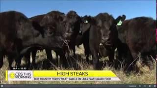 United States Cattlemen's Association Takes on "Fake Meat"