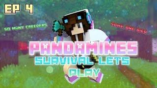 PandaMines EP4|So many creepers and someone died!!!