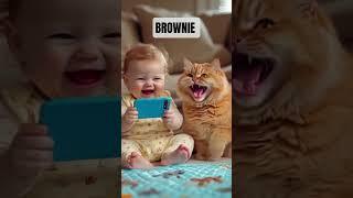 Brownie #cat #pets #catshorts #catlover #youtubeshorts #youtubevideo #anime #animals#funny #viral