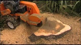 Stump Humper Stump Grinder