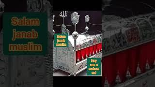 shahadat janab e muslim aon o mohammad | molana Aqeel_ Hussain Hamdani May 15, 2024 | #imamhussain
