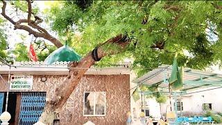 Hazrat Jamal Shah Hazrat Kamal Shah Hazrat Masoom Shah Wali Dargah Rajkot Gujarat #dargah