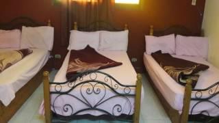 New Palace Hostel - Cairo - Egypt
