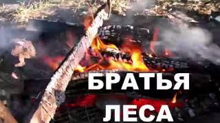 ВЫЖИВАНИЕ В ЛЕСУ/ДОМИК ИЗ ГЛИНЫ/ЧАСТЬ 6