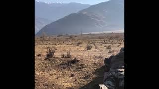 Markhor hunting in Tajikistan   LLC“SAIDI TAGNOB”
