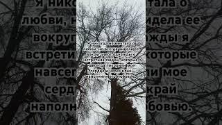 Книга Милый Марк - история о любви и дружбе бесплатно по ссылке в комментариях
